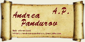 Andrea Pandurov vizit kartica